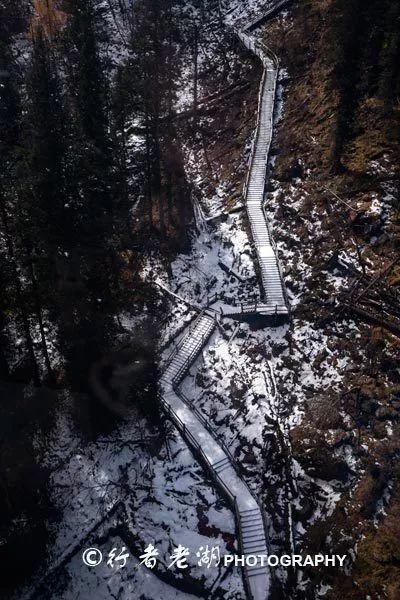 拯救可爱小怪